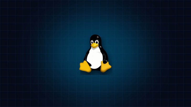 Linux Bootcamp